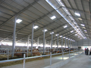 Charpente métallique Charpente métallique