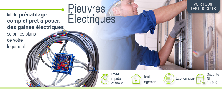 pieuvre electrique