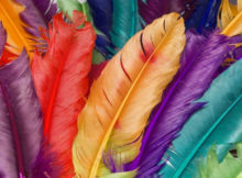 Les couleurs froides chaudes de cuisine