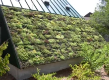 architecture écologique