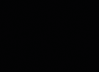Le granit BLACK HEBENUM