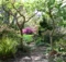Jardin ecologique